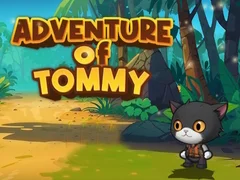 Spel Avontuur van Tommy aanlyn