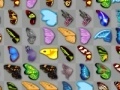 Spel S metterling Kyodai aanlyn Spel S metterling Kyodai aanlyn
