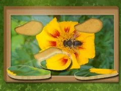 Spel Vind & Herstel: Verborge legkaart aanlyn