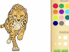 Spel Wilde diere kleurboek aanlyn