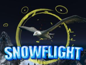 Spel Sneeuvlieg aanlyn