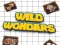 Spel Wilde wonders aanlyn