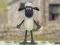 Spel Shaun die Skaap: Wol Baadjie! aanlyn