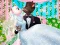 Spel Angela en Tom se Droom Trou aanlyn