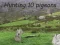 Spel Hommeljaag aanlyn