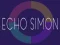 Spel Echo Simon aanlyn