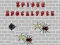 Spel Spinnekapocalypse aanlyn