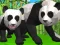 Spel Panda Simulasie 3D aanlyn