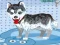 Spel My Teddie Hond Baddens aanlyn