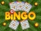 Spel Bingo aanlyn