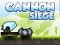 Spel Kanon Beleg aanlyn