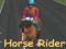 Spel Perd rider aanlyn