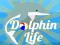 Spel Dolfyn Lewe aanlyn