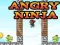 Spel Woedende Ninja aanlyn