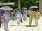 Spel 100 Vlinders in Japan aanlyn
