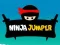 Spel Ninja Springer aanlyn