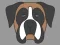 Spel Hond Gesig Kleur aanlyn