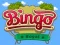 Spel Bingo Koninklik aanlyn