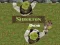 Spel Shrek.vermaak aanlyn