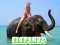 Spel Olifant Legkaart aanlyn