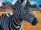 Spel Zebra Jagter aanlyn