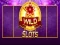 Spel Wilde Slot aanlyn Spel Wilde Slot aanlyn