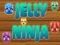 Spel Jelly Ninja aanlyn