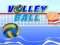 Spel Volleybal aanlyn
