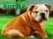 Spel Bulldog Welpie Legpuzzel aanlyn