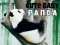 Spel Pragtige Baba Panda aanlyn