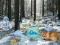 Spel Winter Wonderlands Woud Avontuur aanlyn