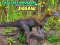 Spel Die Kleinste Dinosaurusse Legkaart aanlyn