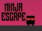 Spel Ninja ontsnap aanlyn