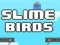 Spel Slime Voëls aanlyn