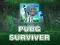 Spel PUBG Overleefde aanlyn