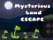 Spel Misterieuse Land Ontsnapping aanlyn