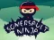 Spel Ninja Somersault aanlyn