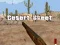 Spel Woestyn skeet aanlyn