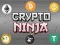 Spel Krypto Ninja aanlyn