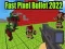 Spel Vinige Pixel Kogel 2022 aanlyn