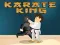 Spel Karate Koning aanlyn