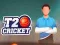 Spel T20 Krieket aanlyn