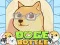 Spel Doge Bottel aanlyn