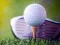 Spel Ongelocked Golf-uitdaging aanlyn