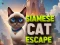 Spel Siamese Kat Ontsnapping aanlyn