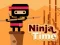 Spel Ninja Tyd aanlyn