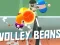 Spel Volley Bone aanlyn