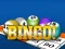 Spel Bingooo 2024 aanlyn