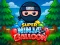 Spel Super Ninja Balloon aanlyn