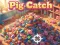 Spel Pig Catch aanlyn